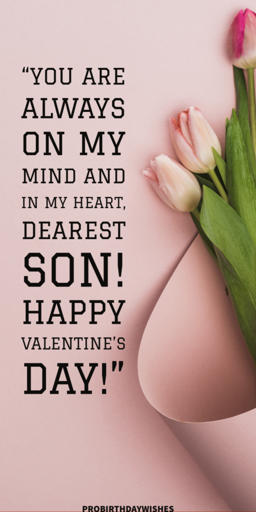 Happy Valentines Day to my Son Quotes